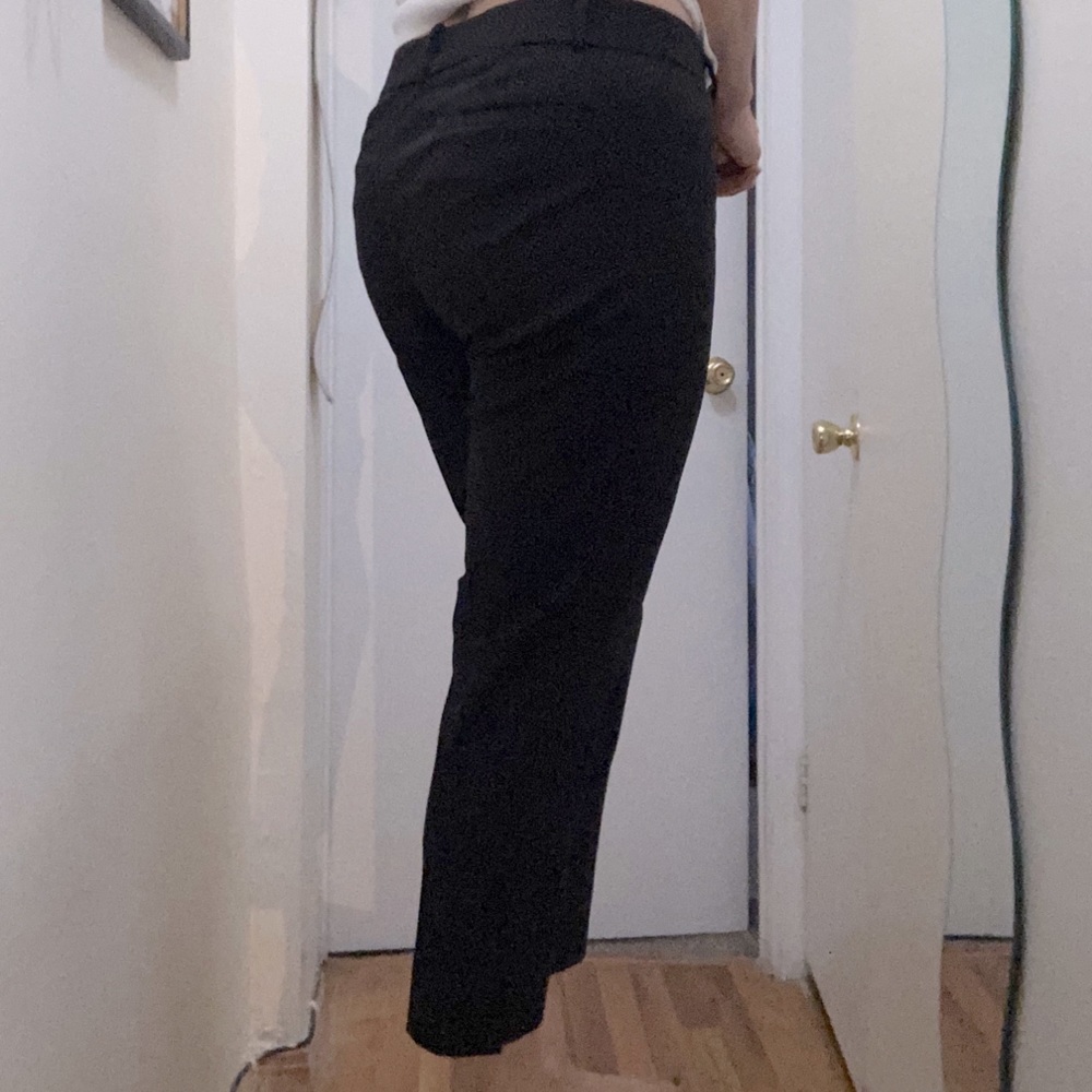 LOFT  Petite Dotted Ankle Pants Size 8P